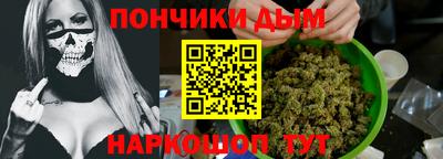 индика Бийск