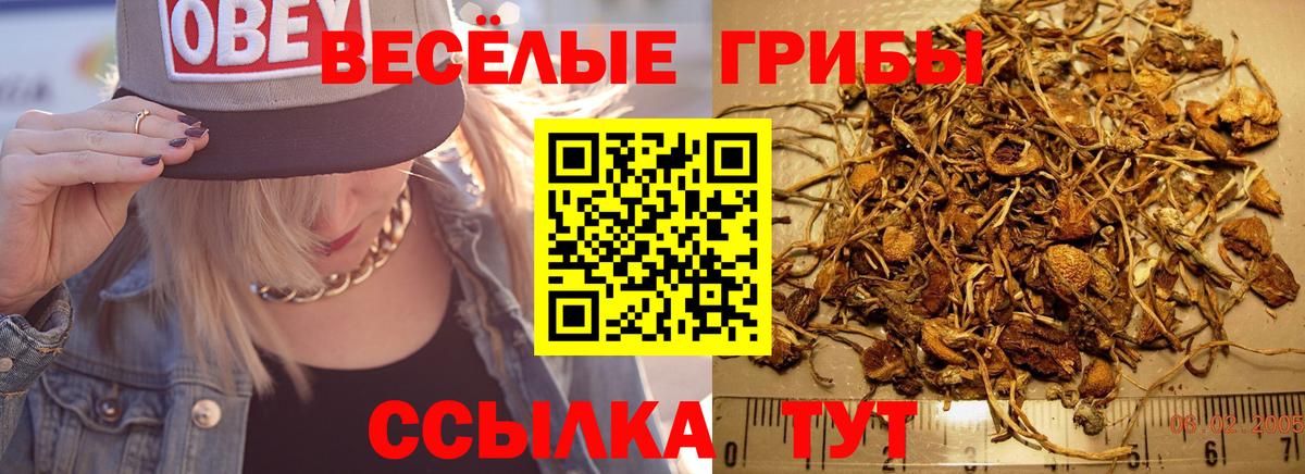 Псилоцибиновые грибы GOLDEN TEACHER Асбест